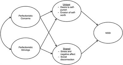 What Do We Still Need to Know? Pressing Issues and Promising Directions in Research on Perfectionism and Nonsuicidal Self-injury